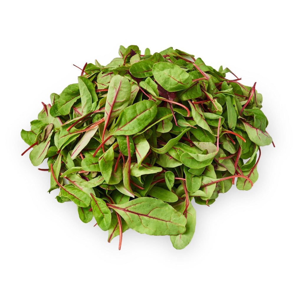 
            
                Load image into Gallery viewer, 125g Selezione Oro Red Chard Salad
            
        