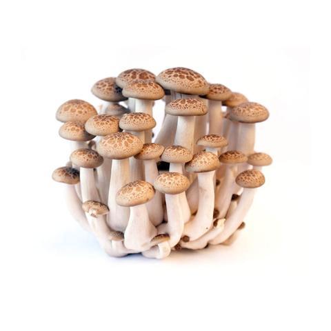 150g Brown Shimeji Mushroom
