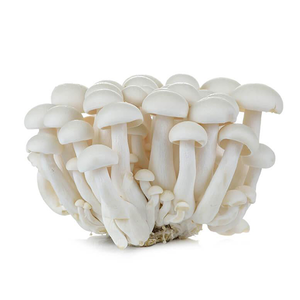 150g White Shimeiji Mushroom