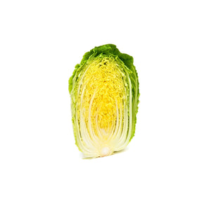 chinese cabbage, vegetable