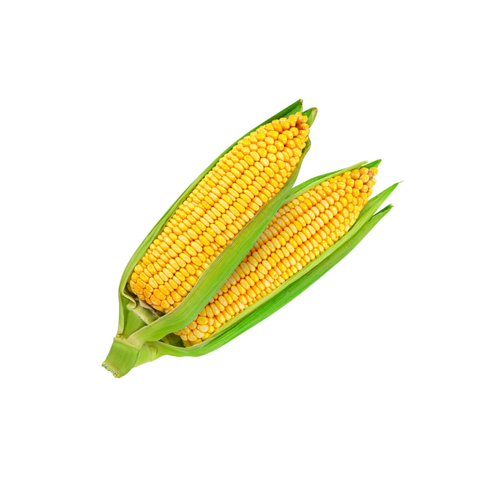 fresh corn, vegetable