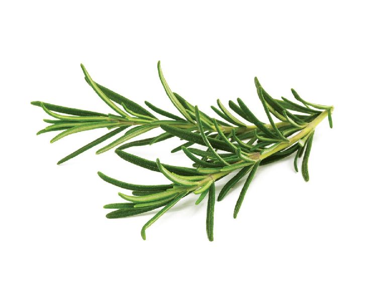 rosemary, spices