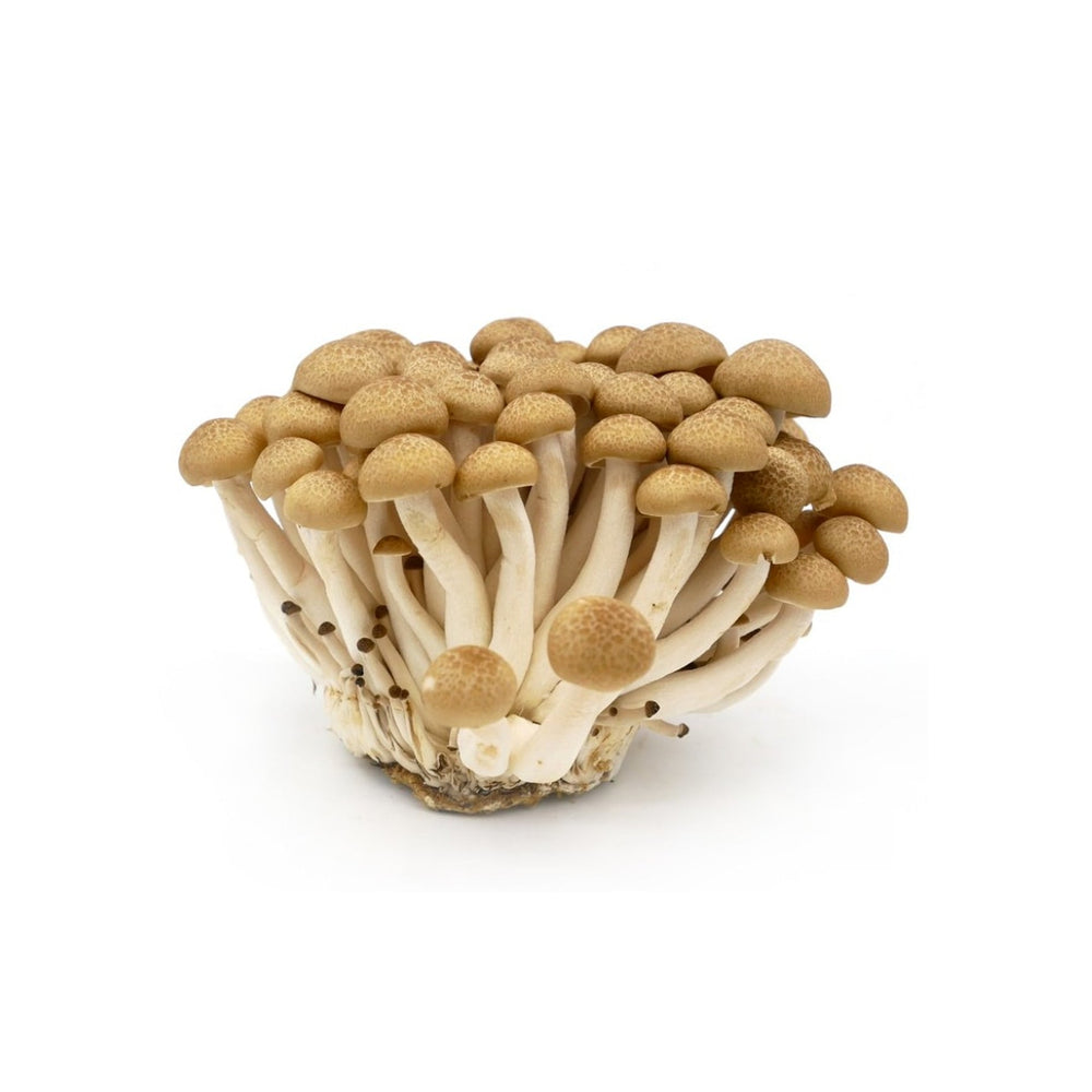 
            
                Load image into Gallery viewer, hokto brown mushroom
            
        